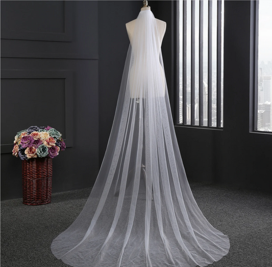 Simple Raw Edge Cathedral Veil